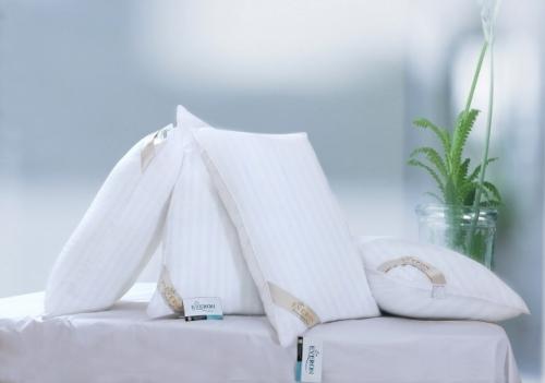 Gối tựa lưng Everon sản phẩm vì sức khỏe người tiêu dùng 2 gối tựa lưng everon