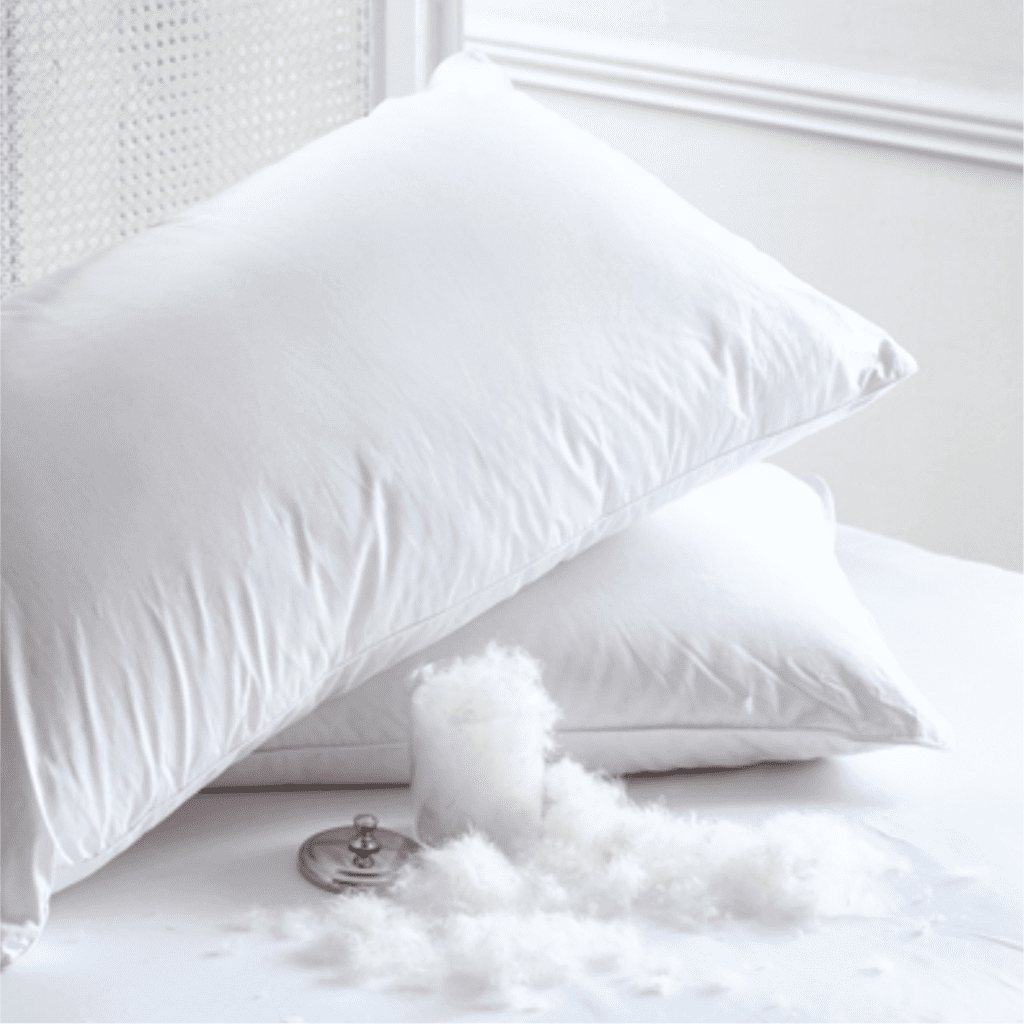 ruột gối everon giá bao nhiêu 1
