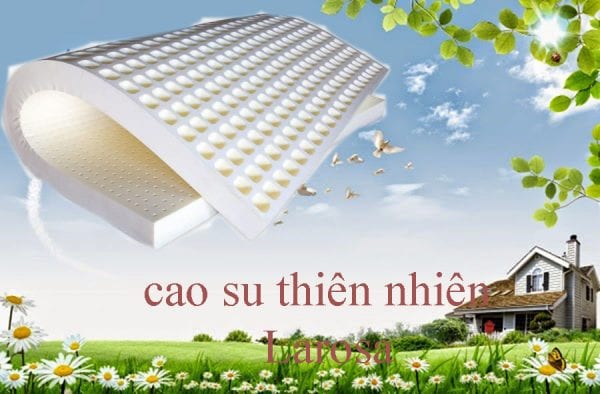 so sanh dem cao su non va thien nhien