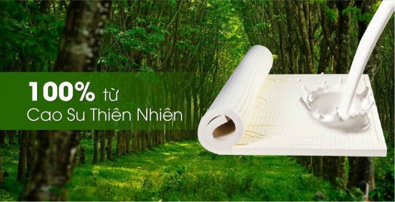 uu nhuoc diem cua dem cao su thien nhien